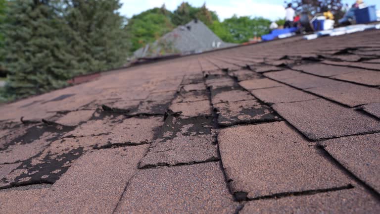 Best Roof Insulation Installation  in New Oxford, PA